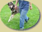 Lukas- wo hat sie denn den Ball * 447 x 336 * (63KB)